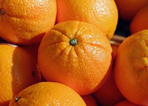 Kist sinaasappels - Nederland